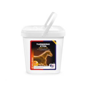 Equine America Turmeric Xtra 3kg - Equine America