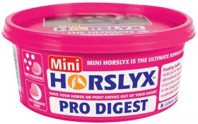 Horslyx Mini Licks 650g Pro Digest