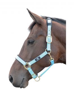 Hy Deluxe Padded Head Collar Blue