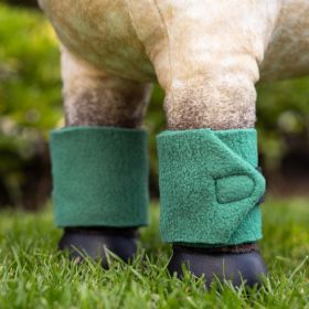 LeMieux Toy Pony Polo Bandages - Evergreen -  LeMieux