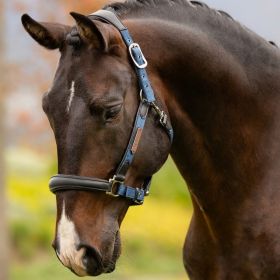 LeMieux Capella Leather Headcollar Sage -  LeMieux