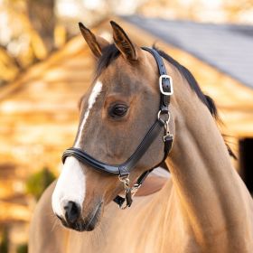 LeMieux Leather Grooming Headcollar -  LeMieux