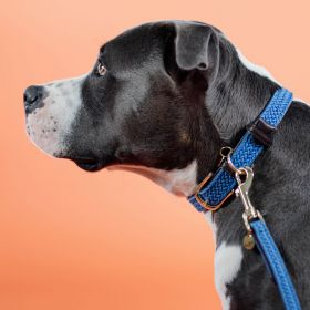 Kentucky Dogwear Plaited Dog Collars - Light Blue