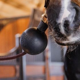 Kentucky Horsewear Rubber Ball Wall and Lead Protector -  Kentucky Horsewear