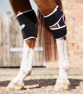 Premier Equine Magni-Teque Magnetic Hock Boots -  Premier Equine