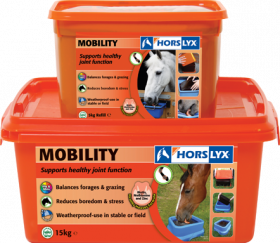 Horslyx Mobility Lick  - Horslyx