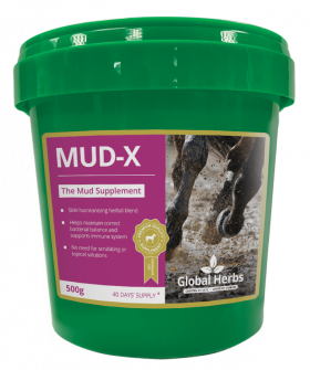 Gobal Herbs Mud X
