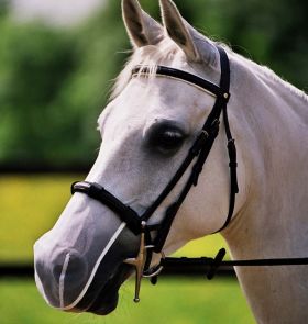 Equilibrium Net Relief Muzzle Net White - Equilibrium