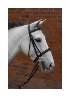 Hy Padded Cavesson Bridle With Rubber Grip Reins