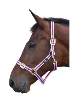 Hy Soft Webbing Head Collar