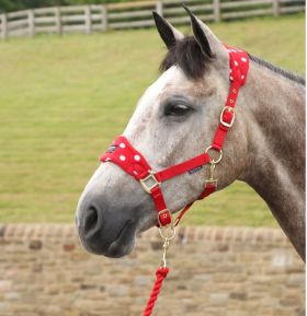 Supreme Products Dotty Fleece Head Collar and Lead Rope - Rosette Red - Supreme Products