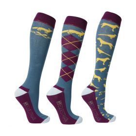 Hy Equestrian Fox and Hound Country Socks (Pack of 3) -  HY