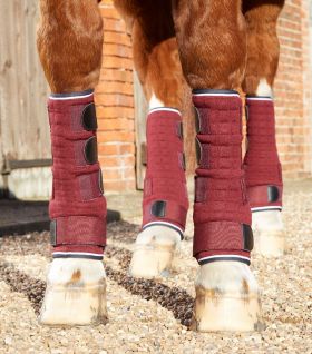 Premier Equine Quick Dry Horse Leg Wraps - Burgundy -  Premier Equine