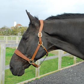 Rhinegold Anatomical Leather Headcollar