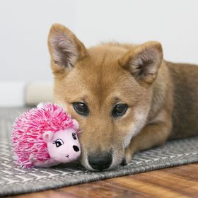 KONG Comfort HedgeHug Dog Toy