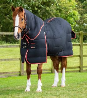 Premier Equine Stable Buster 450g Stable Rug with Neck Cover -  Premier Equine