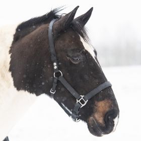 Equilibrium Stellar Headcollar - Black - Equilibrium