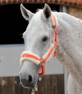 Premier Equine Techno Wool Lined Head Collar Orange