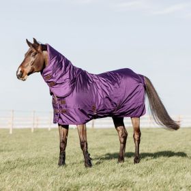 Kentucky Horsewear Turnout Rug All Weather Waterproof Pro - Purple 160g -  Kentucky Horsewear