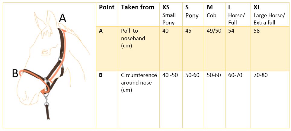 Stellar Headcollar size chart